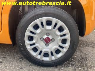 FIAT Panda usata 14