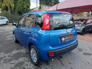 FIAT Panda usata, con Antifurto
