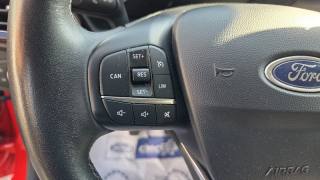 FORD Fiesta usata, con Bracciolo