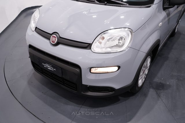 FIAT New Panda usata 23
