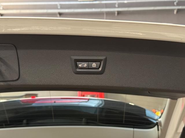 BMW X1 usata, con Bracciolo