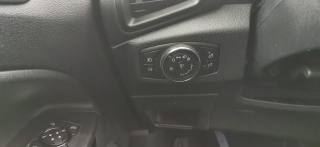 FORD EcoSport usata, con Airbag testa