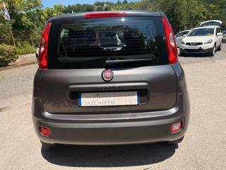 FIAT Panda usata, con Cronologia tagliandi