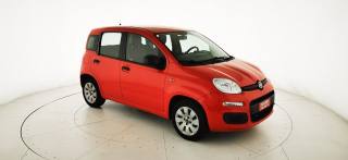 FIAT Panda usata 21