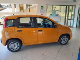 FIAT Panda usata, con Alzacristalli elettrici