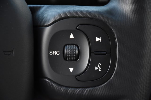 FIAT Panda usata, con Volante multifunzione