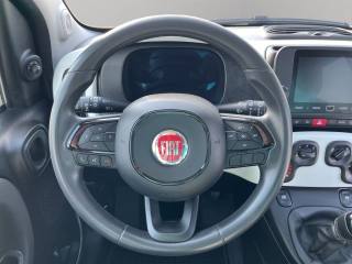 FIAT Panda usata, con Airbag testa