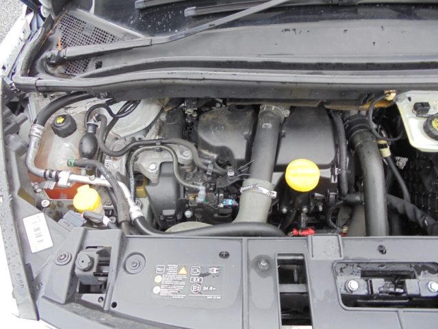 RENAULT Scenic usata 44