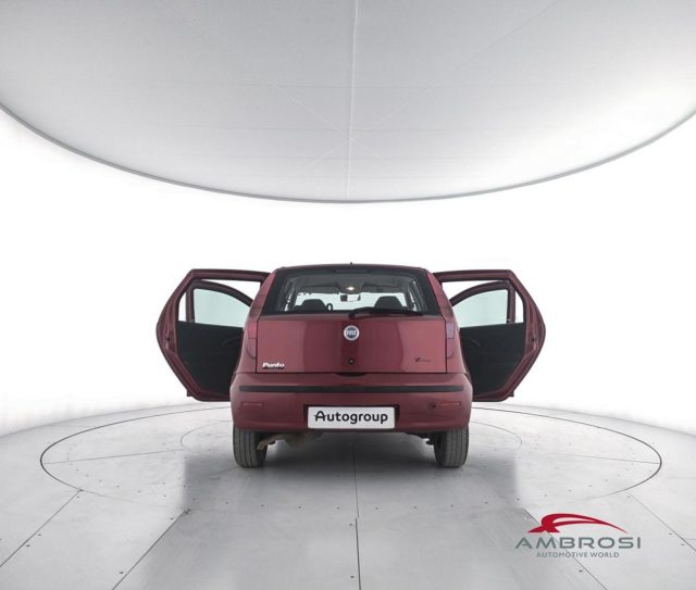 FIAT Punto usata 6