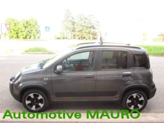 FIAT Panda Cross usata, con Antifurto
