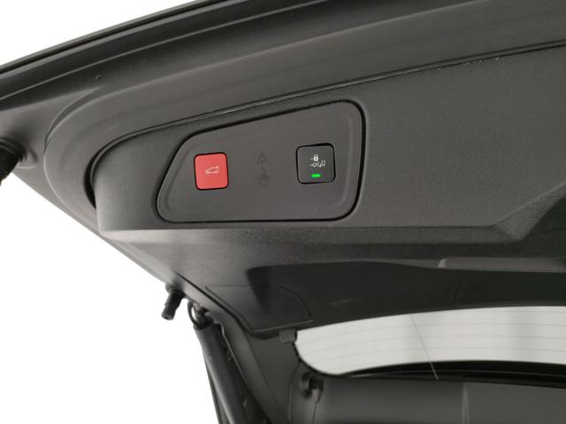 PEUGEOT 3008 usata, con Portellone posteriore elettrico