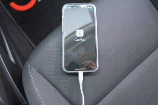 RENAULT Clio usata 42