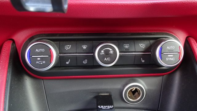 ALFA ROMEO Stelvio usata 110