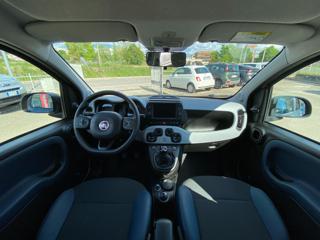 FIAT Panda Cross usata 34