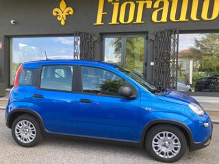 FIAT Panda usata, con Airbag Passeggero
