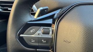 PEUGEOT 3008 usata, con Autoradio
