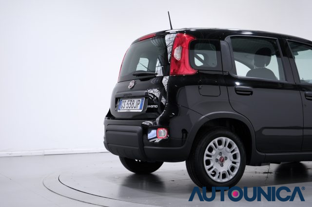 FIAT Panda usata 47