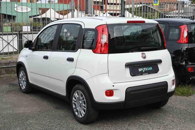 FIAT Panda usata, con Alzacristalli elettrici