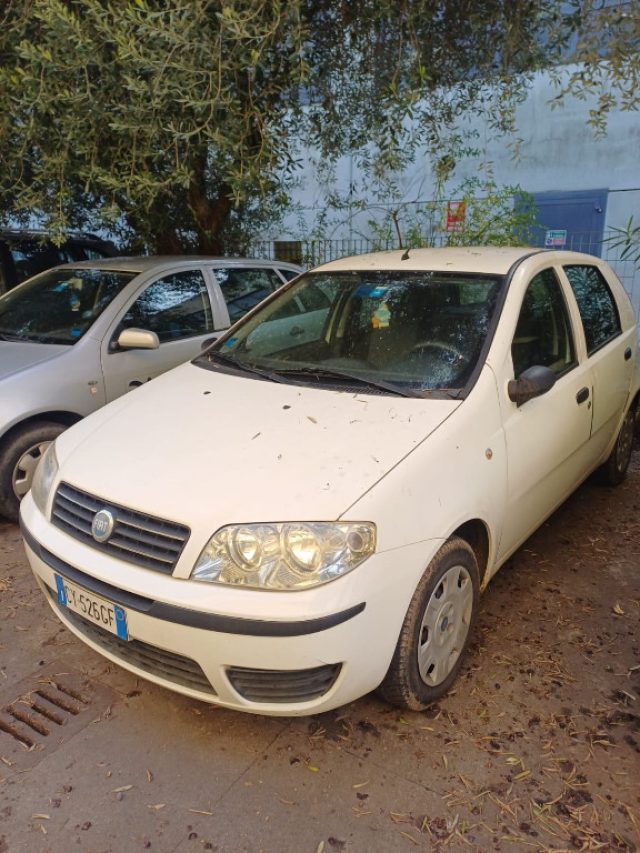 FIAT Punto usata, con ABS