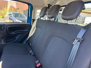 FIAT Panda Cross usata 50
