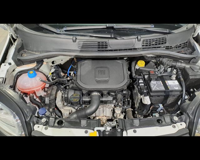 FIAT New Panda usata 23