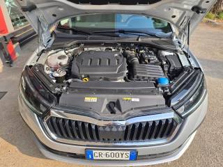 SKODA Octavia usata 155