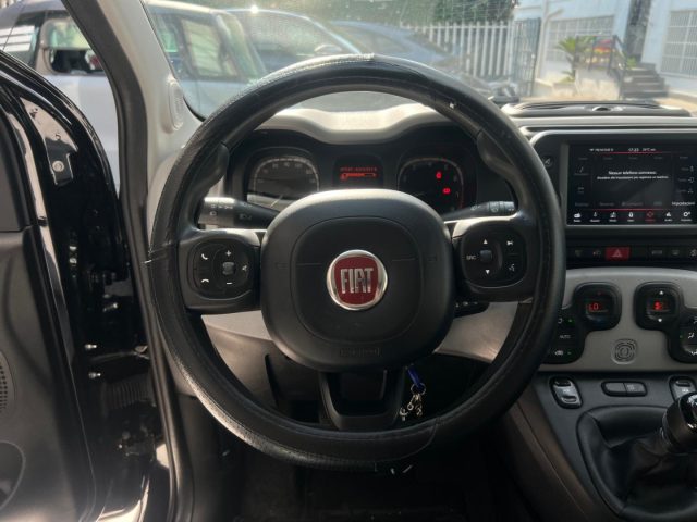 FIAT Panda Cross usata, con Volante multifunzione