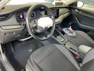 SKODA Octavia usata, con Fendinebbia