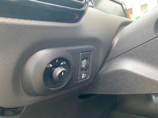 CITROEN C4 Cactus usata, con Autoradio