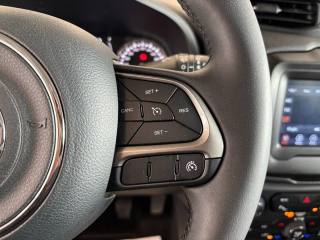 JEEP Renegade usata, con Bracciolo