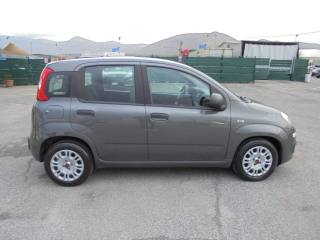 FIAT Panda usata 13