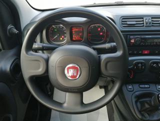 FIAT Panda usata, con Servosterzo