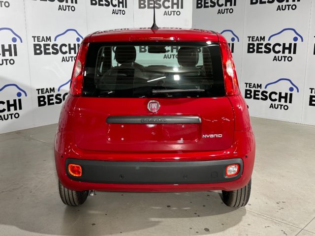 FIAT New Panda usata, con Servosterzo