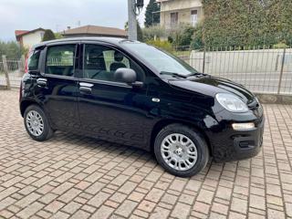 FIAT Panda usata, con Airbag Passeggero