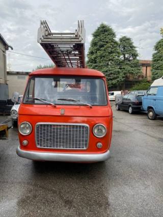 FIAT 242 usata 1