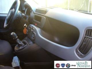 FIAT Panda usata, con Volante multifunzione