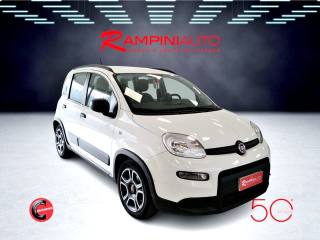 FIAT Panda usata 3