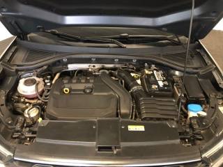 VOLKSWAGEN T-Roc usata, con Cronologia tagliandi