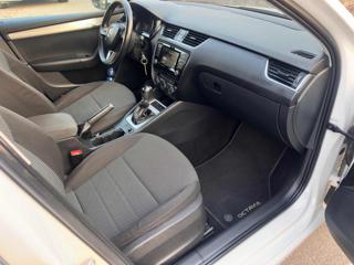 SKODA Octavia usata, con Controllo trazione