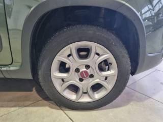 FIAT Panda usata, con Trazione integrale