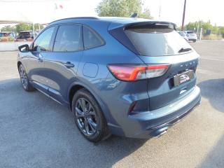 FORD Kuga usata, con Regolazione elettrica sedili