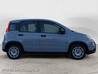 FIAT Panda usata, con Airbag Passeggero