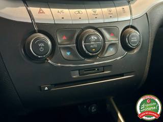 FIAT Freemont usata, con Cronologia tagliandi
