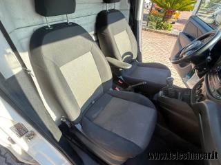 FIAT Doblo usata 19