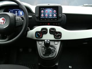 FIAT Pandina usata, con Fendinebbia