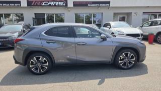 LEXUS UX 250h usata, con Alzacristalli elettrici