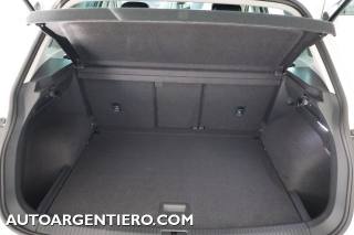 VOLKSWAGEN Tiguan usata, con Volante multifunzione