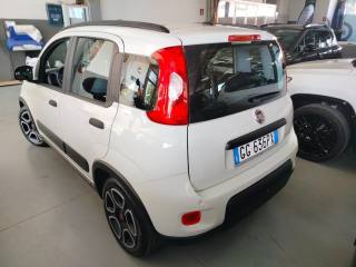 FIAT Panda usata 14