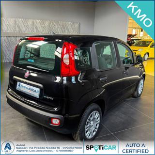 FIAT Panda usata, con Antifurto