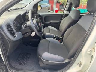 FIAT Panda usata, con Servosterzo